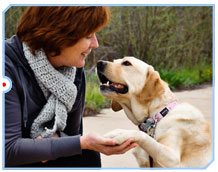Pet Dental Health - Lucy the Lab with Healthy Teeth & Gums