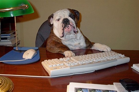 Dog Father at Computer