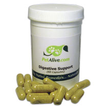 Digestive Support for Healthy Digestion