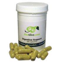 DIGESTIVE SUPPORT