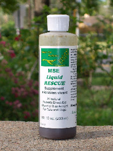 MSE Liquid Rescue Probiotic, Enzyme & Vitamin Supplement for Sick or Stressed Animals