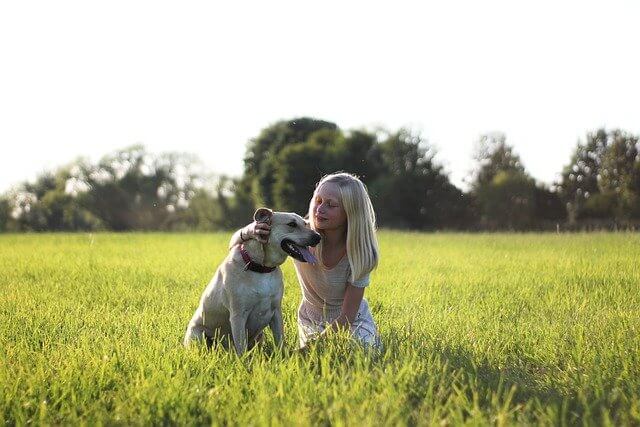 Dog with a child in a field