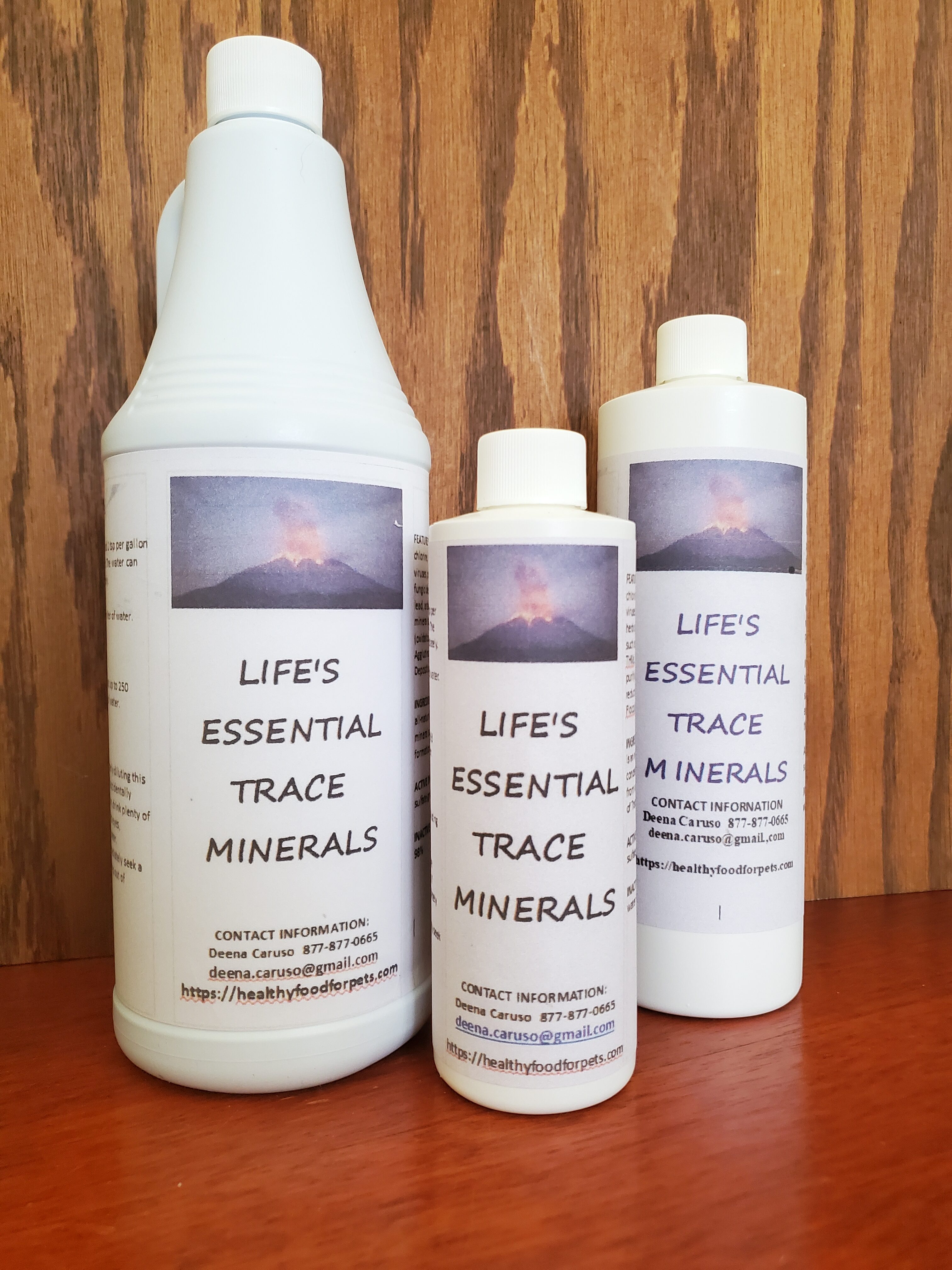 Three-sizes-Life’s-Essential-trace-minerals