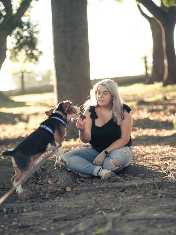 Training Your Puppy With Feeding Treats Woman Training Dog