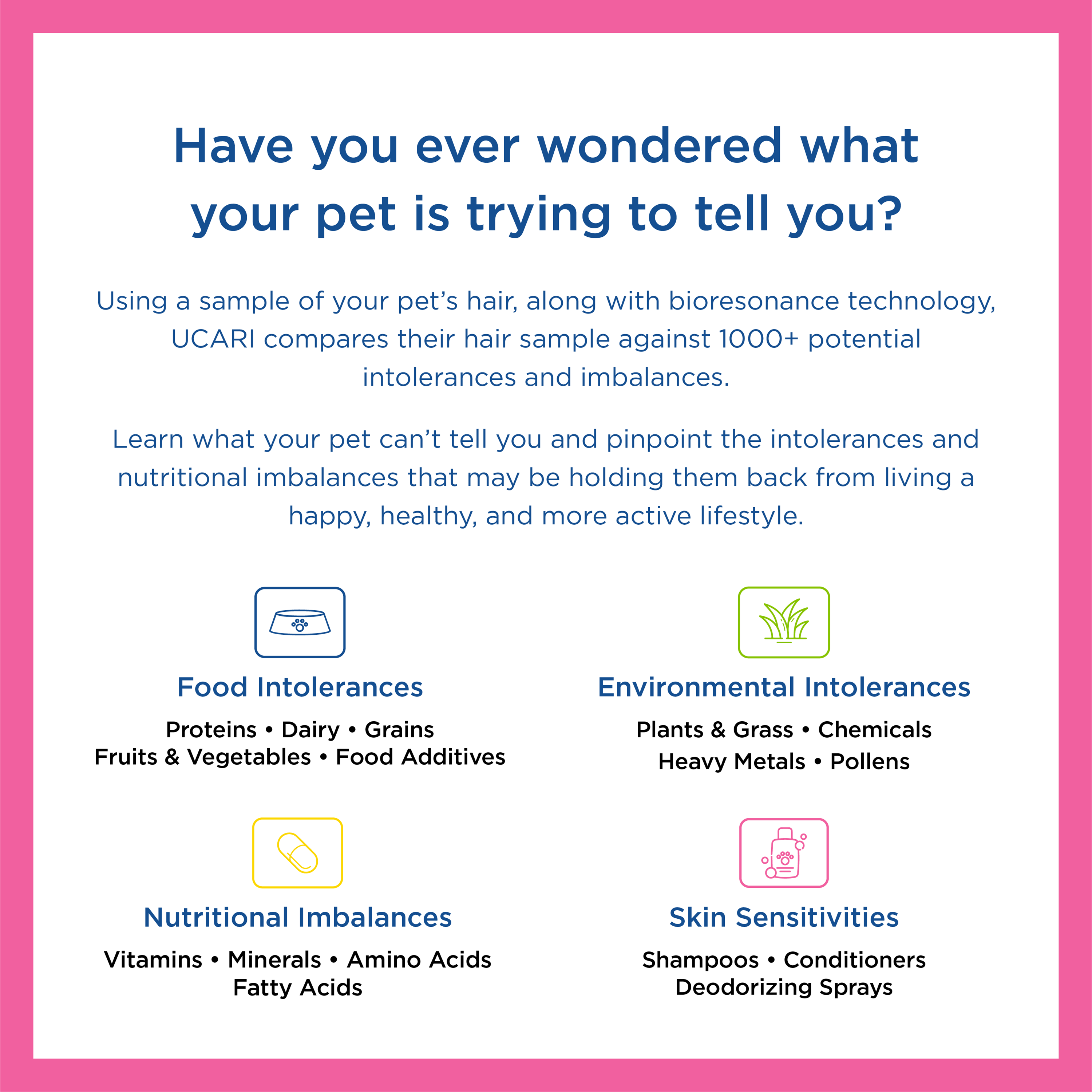 UCARI Pet Intolerance Test Kit tests for food and environmental sensitivities, as well as nutritional imbalances and skin sensitivities.