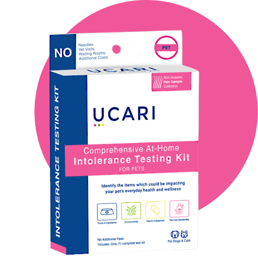 UCARI Pet Intolerance Test Kit tests for food and environmental sensitivities, as well as nutritional imbalances and skin sensitivities.